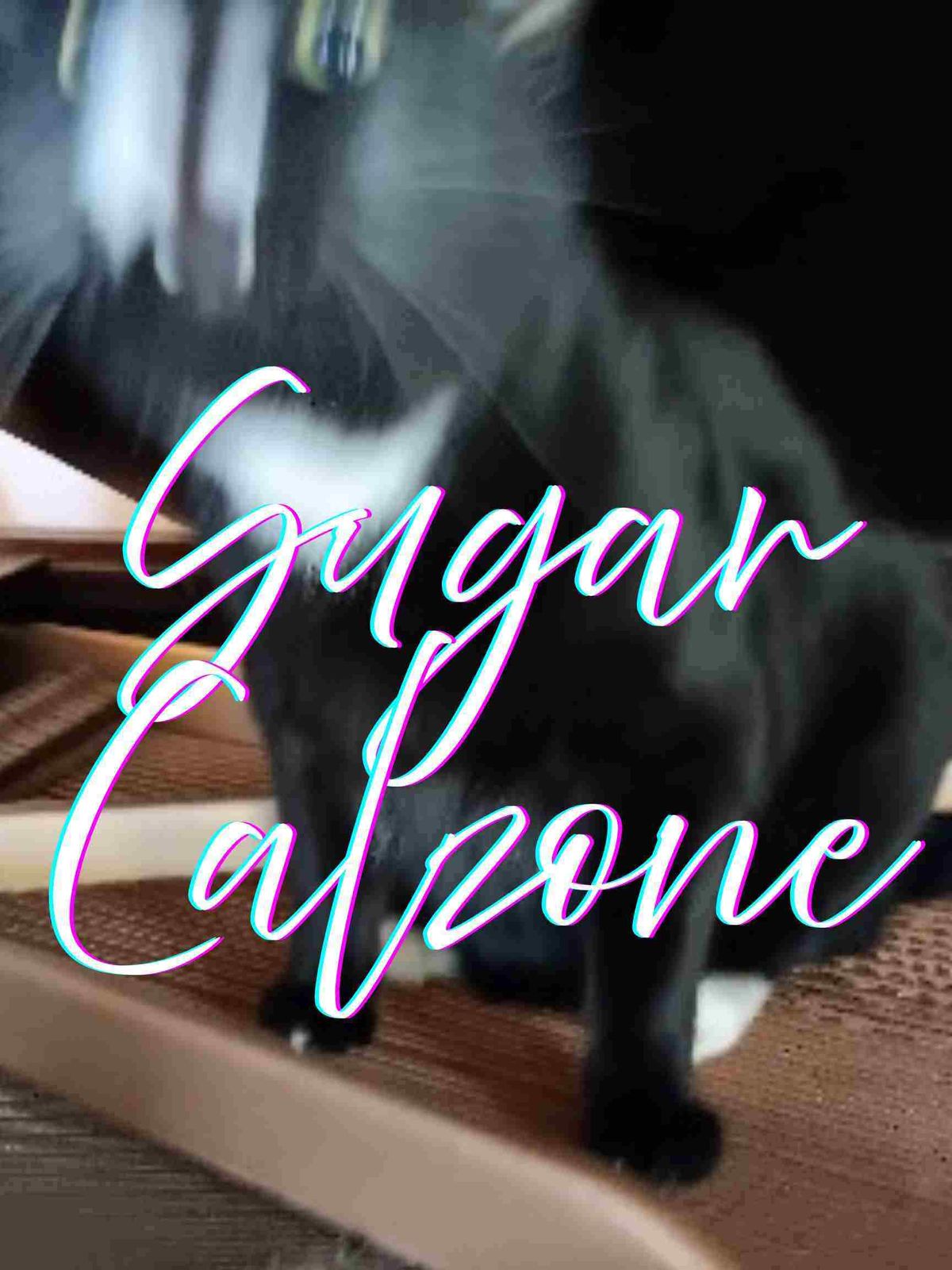 Sugar Calzone