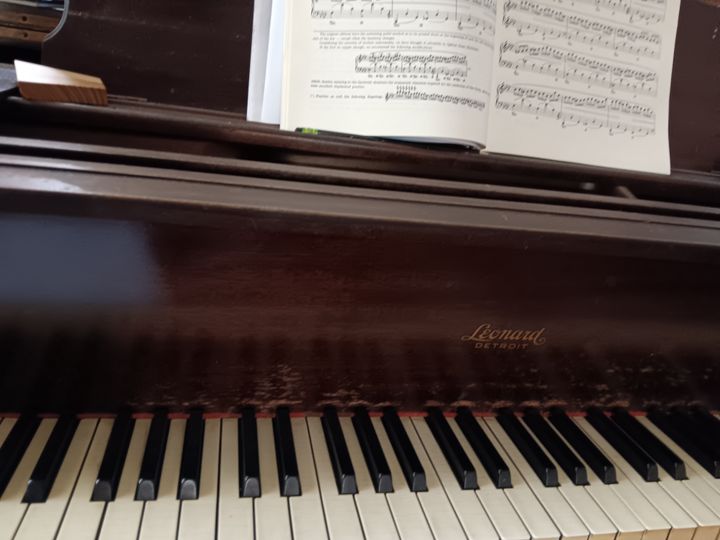 Bring your instrument to my workshop