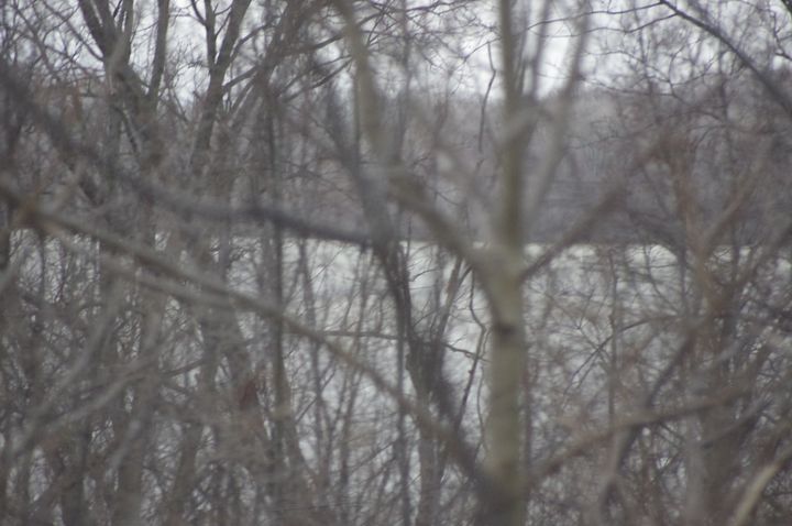 Spring arrives in 58 days.