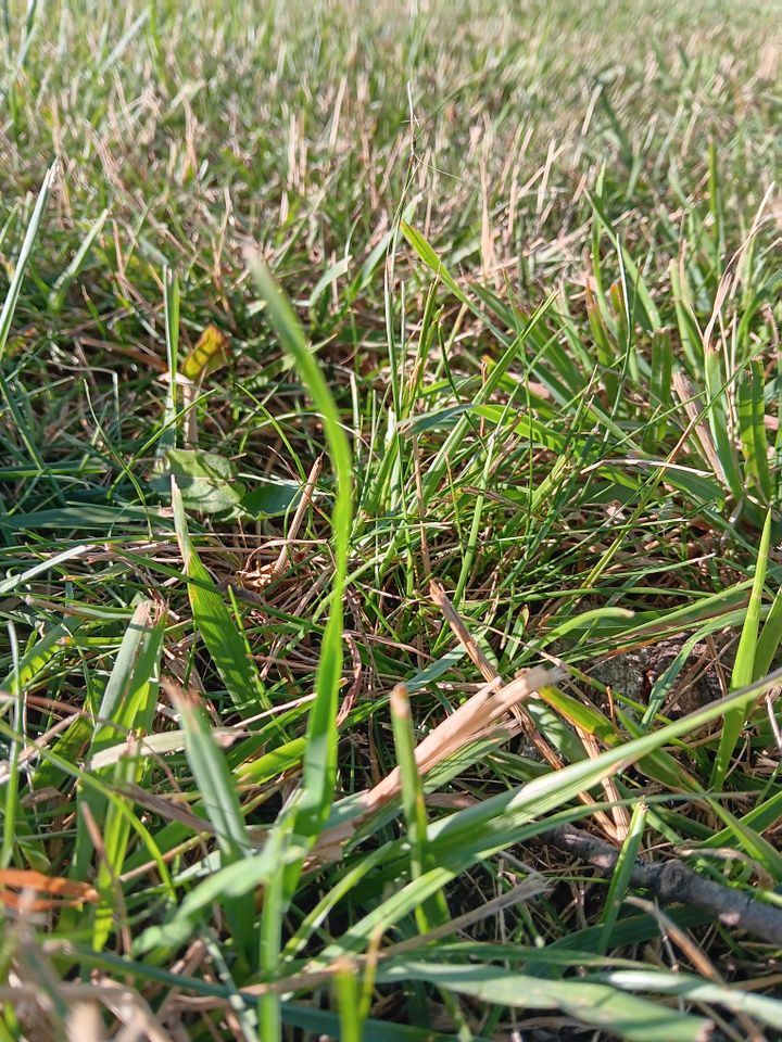 Five theory questions for students to ponder.