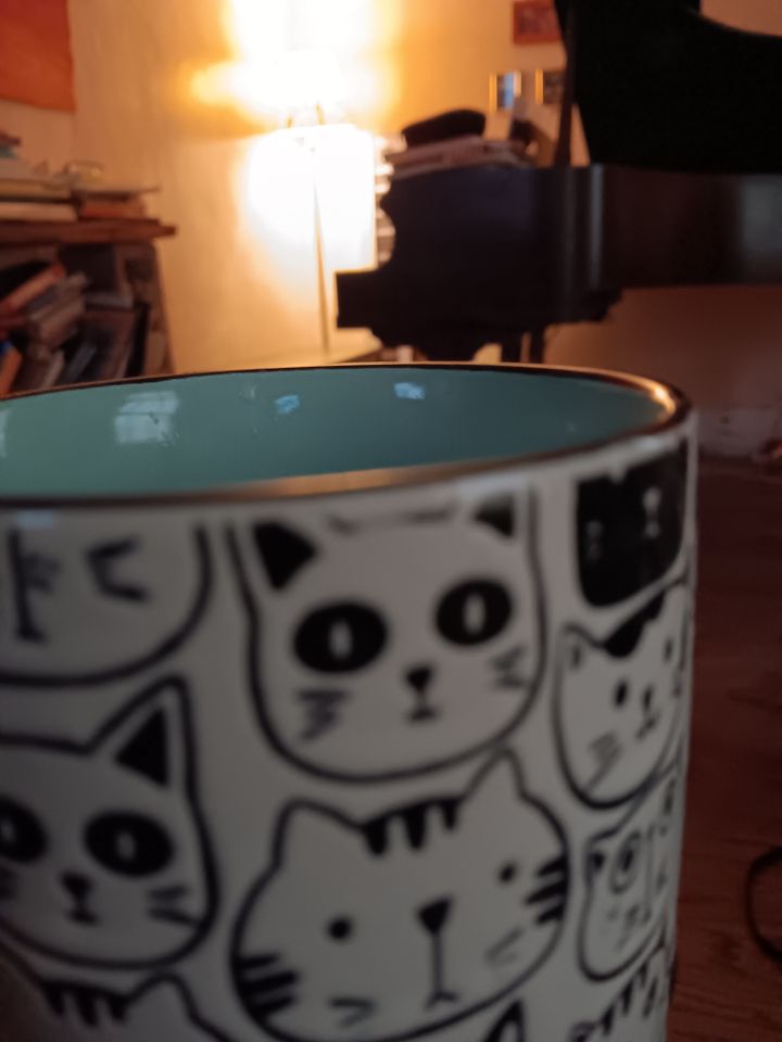 Guilt-free, unbothered rest is a necessity