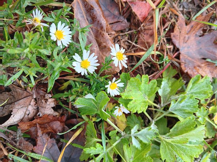 When things go wrong.