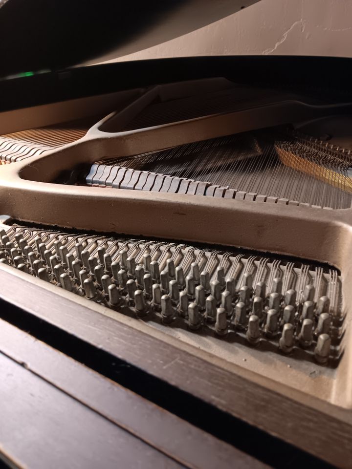 Take care of yourself during this Nebulous Period