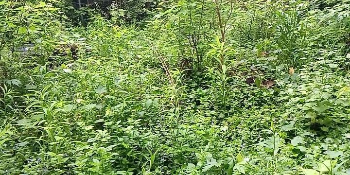 Death is certain. Do the thing.