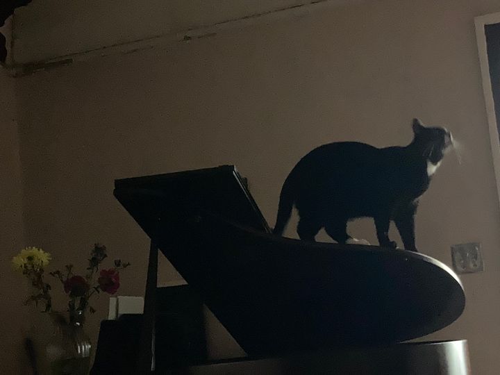 I'm selling the piano that got me through it all.