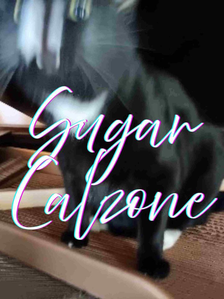 Sugar Calzone