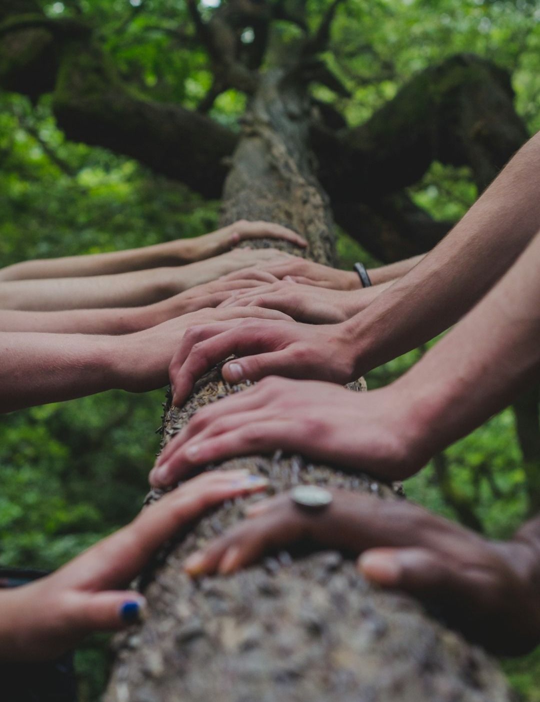 LIINA LAAS: If your idea of ‘the best people’ all look the same, you’re probably building blind