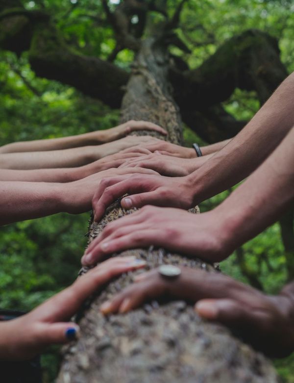 LIINA LAAS: If your idea of ‘the best people’ all look the same, you’re probably building blind