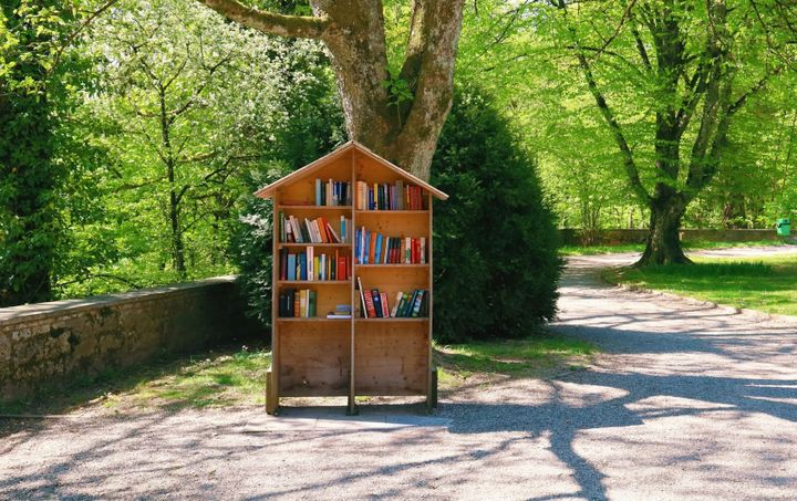 Fomo Academy: 8 book recommendations from the Fomo community