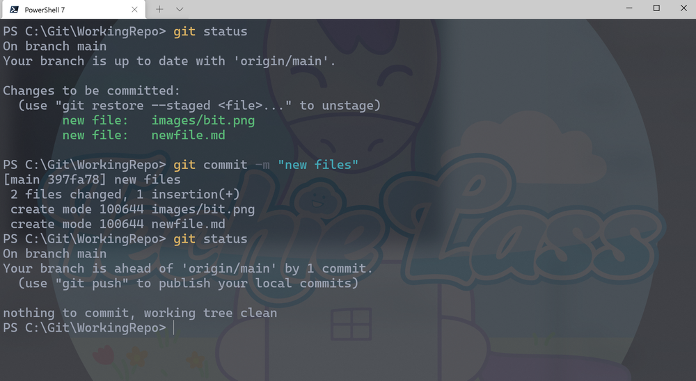 Use the Git Status Command