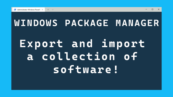 Windows Package Manager can help you export and import a collection of software!