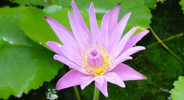 เวลา-ไตรลักษณ์-ปฏิจจสมุปบาท