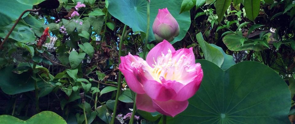 เบ้าหลอมสังคมไทย