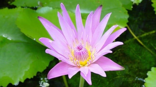 อย่ามัวแต่วกวนค้นหา "เหตุ"