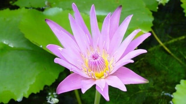 ข่มเหง-ข่มใจ