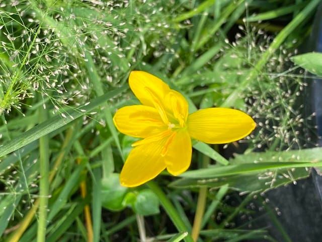 รอบตัวและหัวใจ