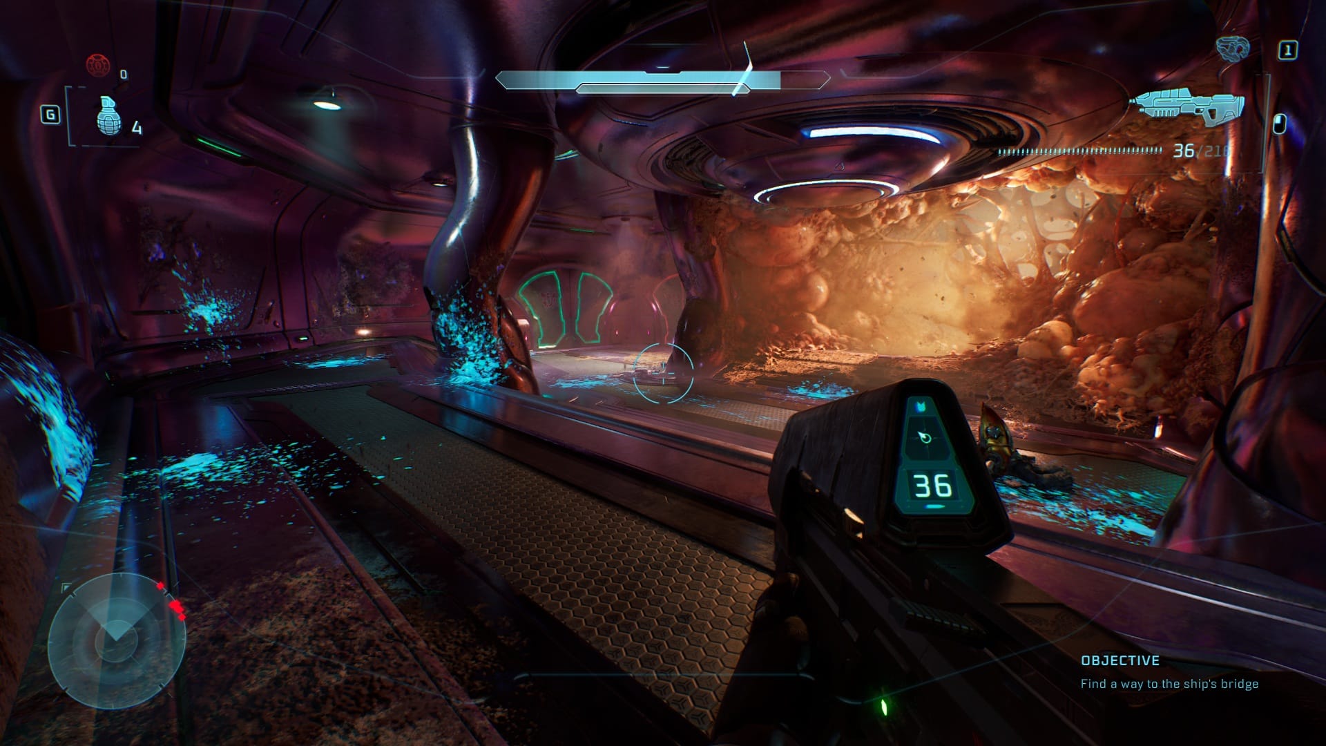 Dead Covenant and Flood biomass in Keyes