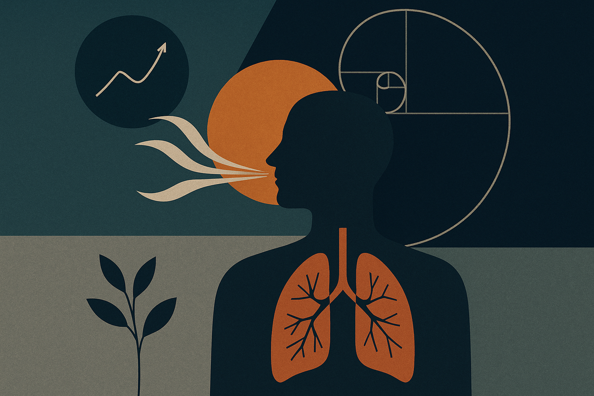 Breathing as a Systems Intervention: What Actually Changes When You Slow the Breath