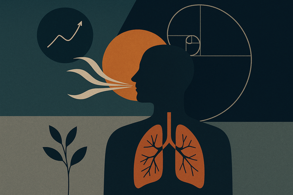Breathing as a Systems Intervention: What Actually Changes When You Slow the Breath