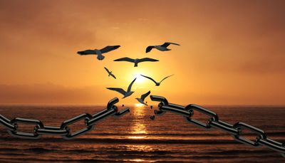 📚 STW #64: Achieving Competitive Greatness, the 10% Rule, the Road to Mastery, and More!