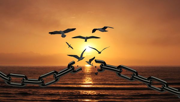 📚 STW #64: Achieving Competitive Greatness, the 10% Rule, the Road to Mastery, and More!