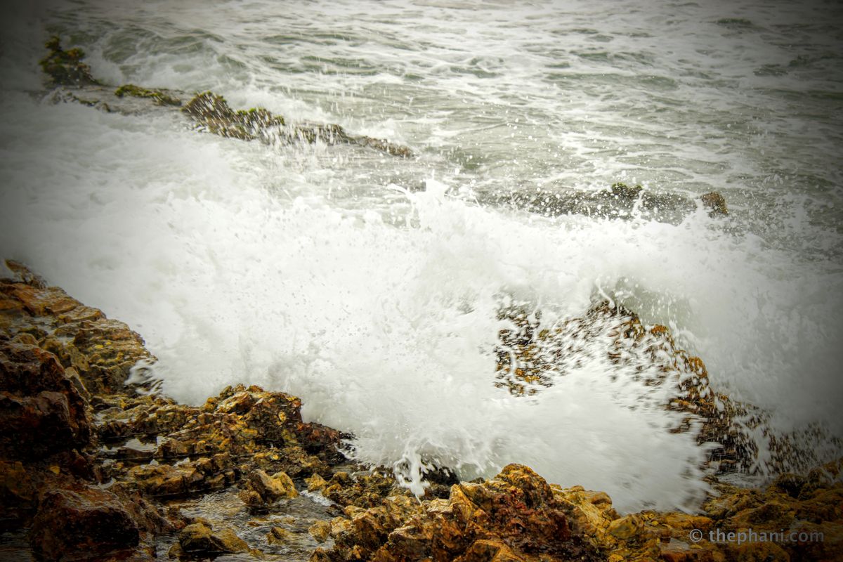 Enable Assignment rules from Apex