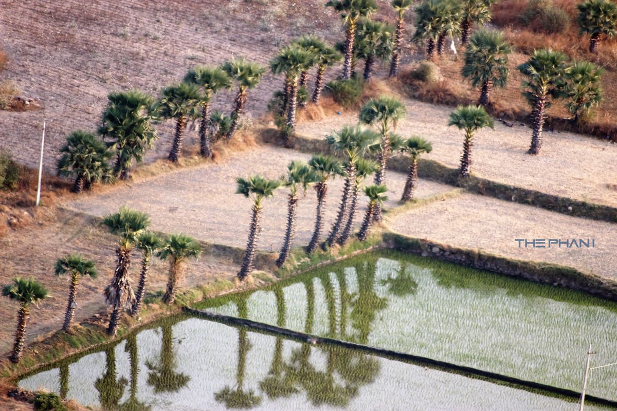 Test Classes For Future Methods (Callout True)