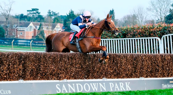 🗓️ What's On: 5th-11th February 2026