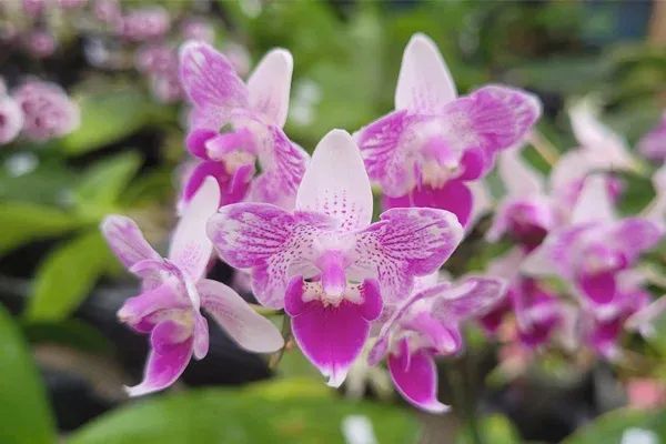 🗓️ What's On: 9th-15th April 2026