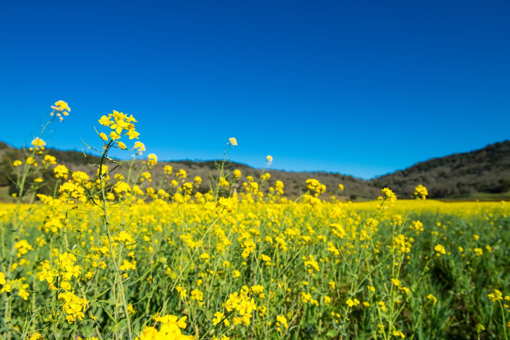 If You Think You Can't Meditate, Read This First 无法冥想？读完这篇文章再试试