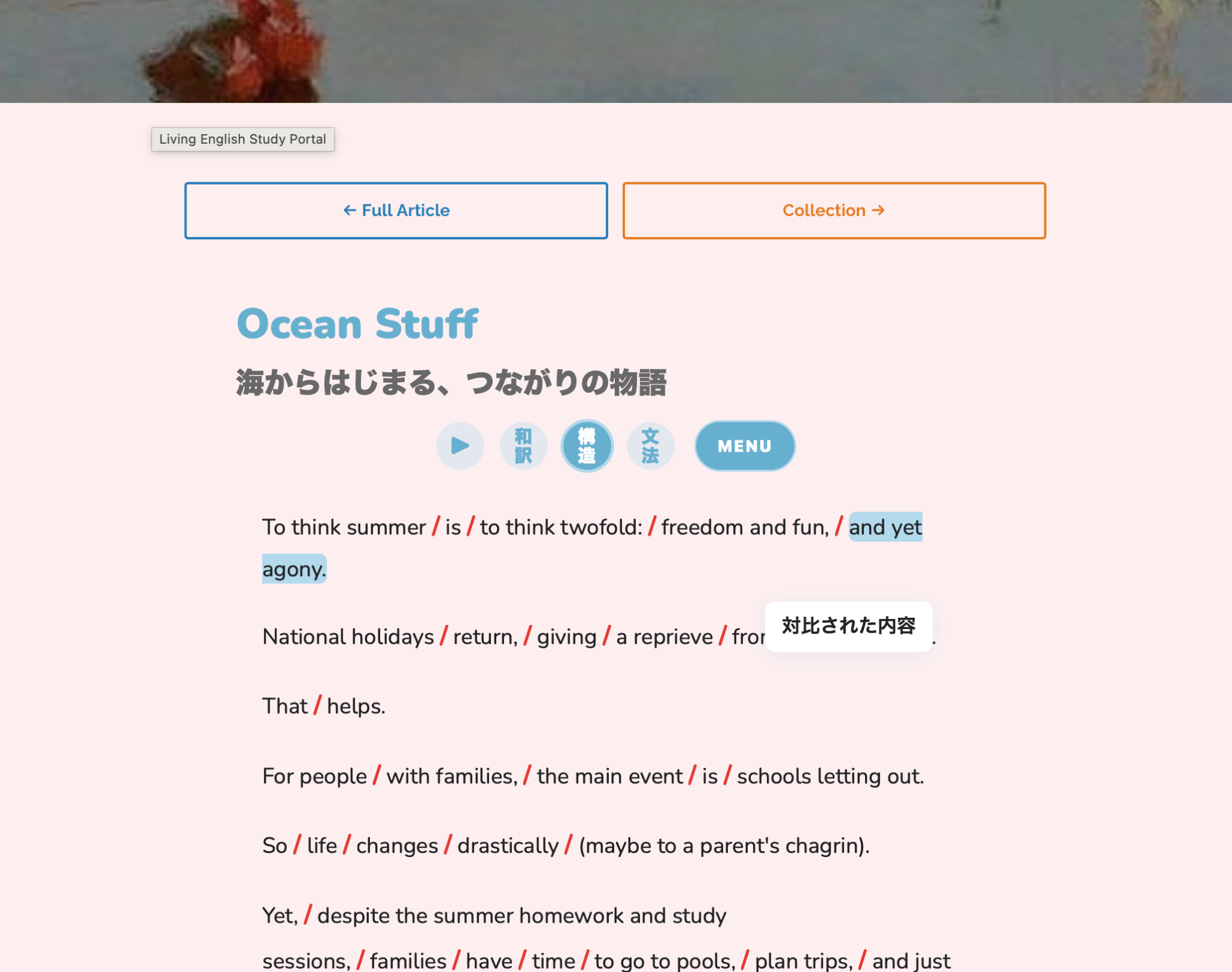 Ocean Stuff Study Portal learning support