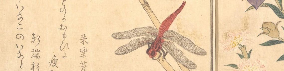 The Red Dragon | Study Portal