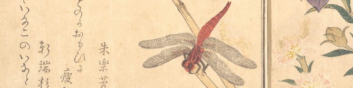 The Red Dragon | Study Portal