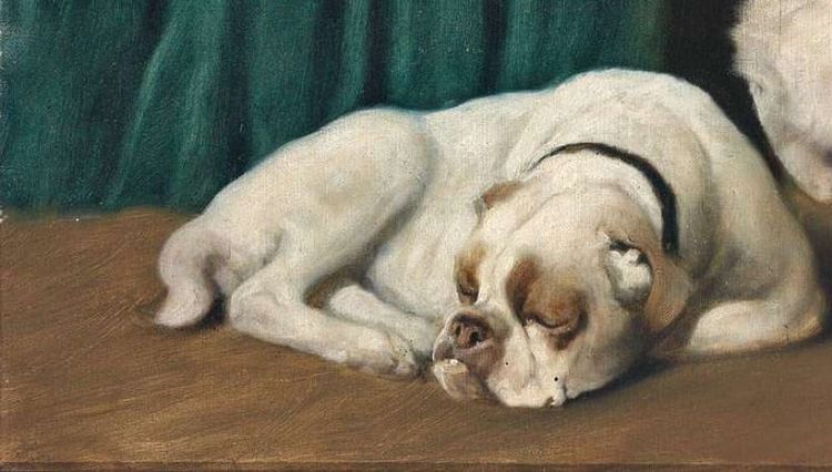 The Dog Days | Study Portal