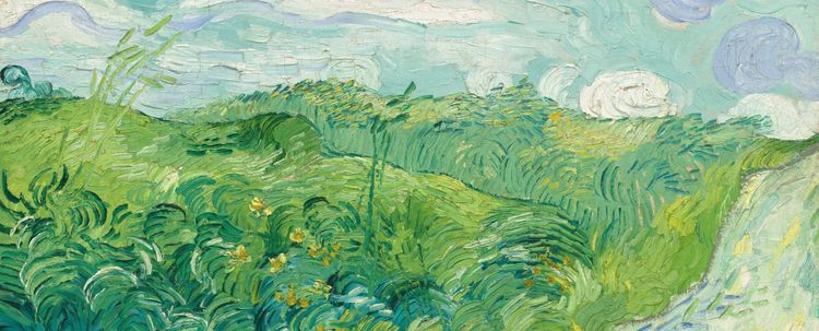 The Mountains Laugh | Study Portal