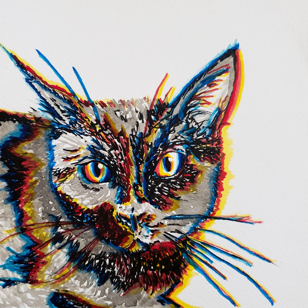 Black Cat