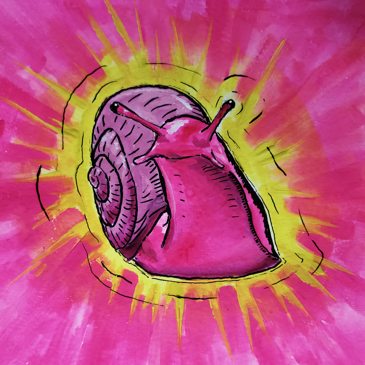 Pink Mollusk 2