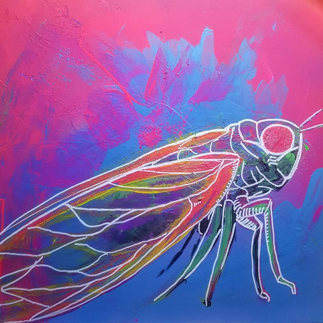 Cicada