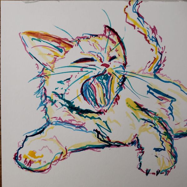 Cat Marathon 2022 (19 pieces)