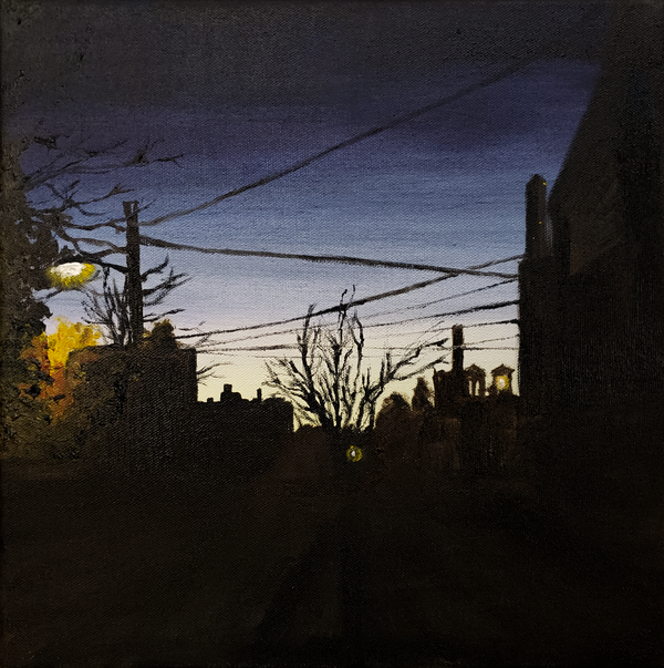 The View from the Back Porch