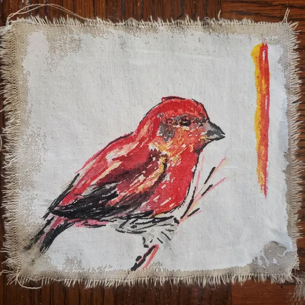 Crossbill Finch