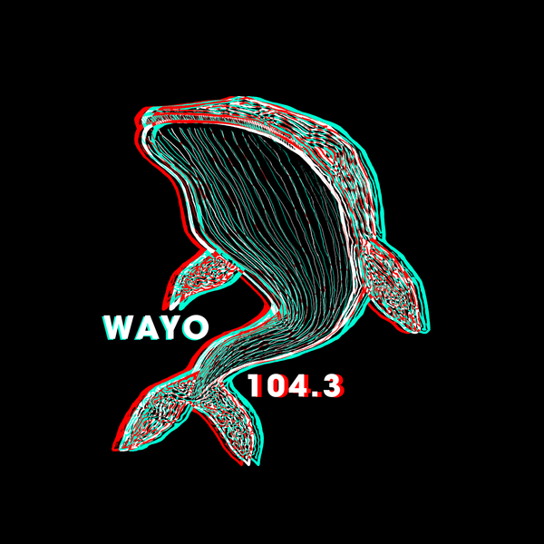 Design for the WAYO 104.3FM Fundraiser