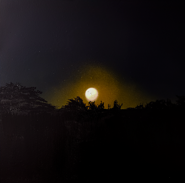 Moonrise Silhouette