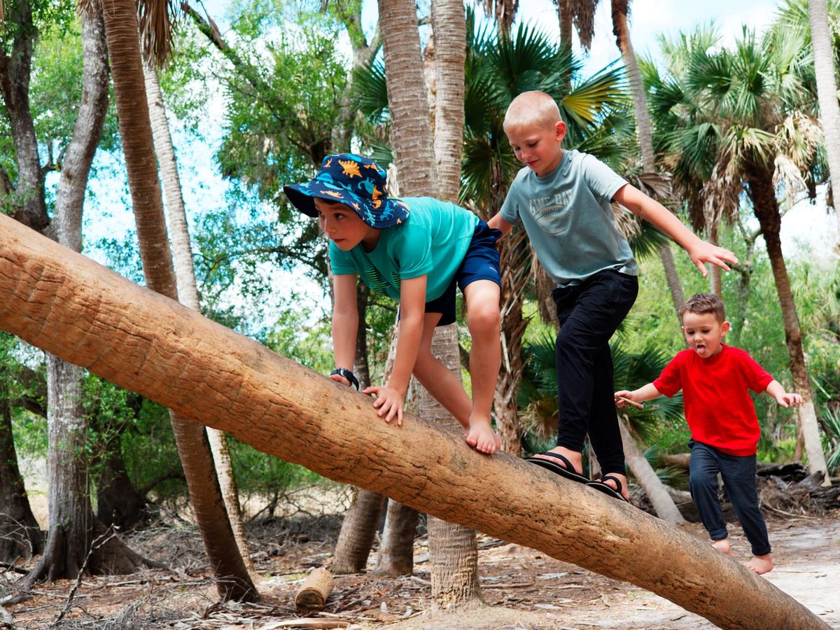 A Logical Trip To Florida