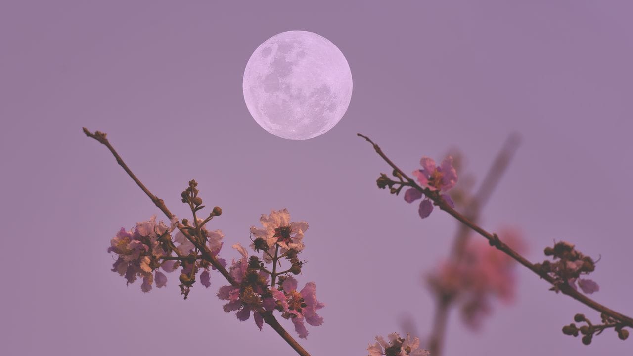 Here’s How Friday’s Full Flower Moon in Scorpio Will Affect Every Star Sign
