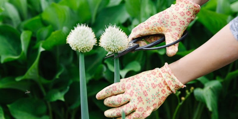 This 2-Second Technique Makes Flowers Look More Full & Vibrant