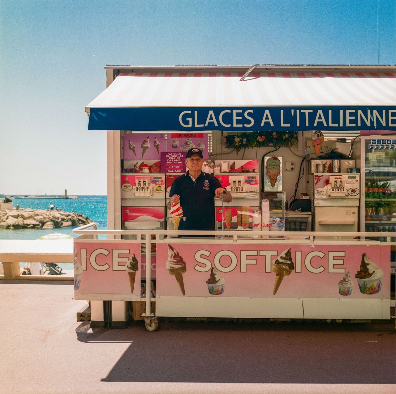 The Real Stars of Cannes by Johanna Berghorn