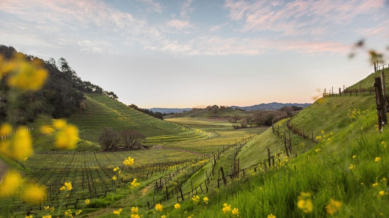 A Guide to Sonoma County, Napa’s Charming Neighbor