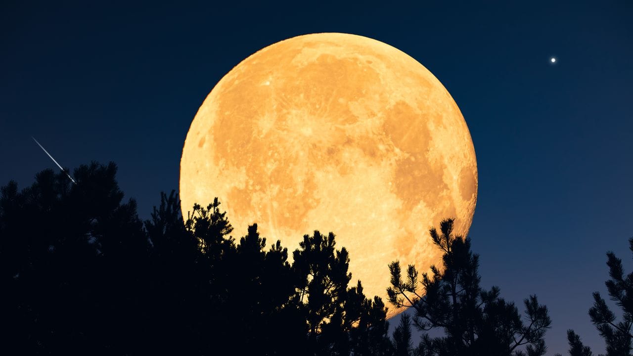 A Strawberry Full Moon Is Coming—Here’s What It Means for Every Star Sign