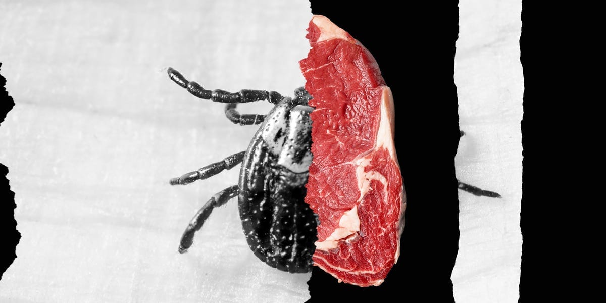 A Tick Bite Could Make You Allergic to Meat and Milk—and Cases Are on the Rise